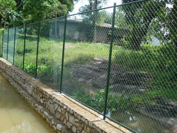 Фото Забор из сетки-рабицы 35х35 (с бетонированием столбов)