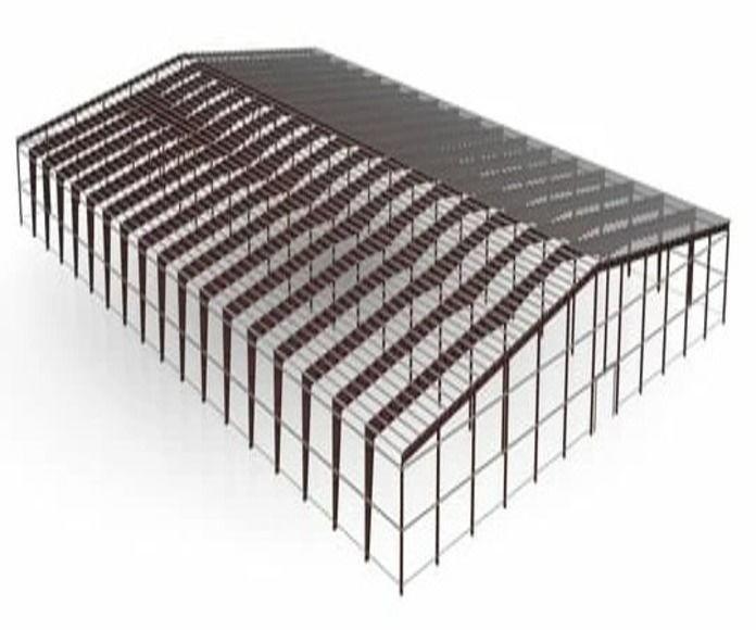 Фото Здание пролётом от 36 до 144 м шириной