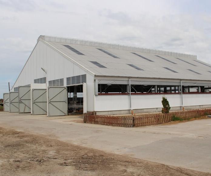 Фото Сельскохозяйственные здания